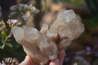 Natural Cascading Smokey Quartz Clusters x 3 From Luena, Congo