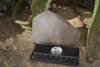 Polished Quartz Crystal Points x 6 From Angola