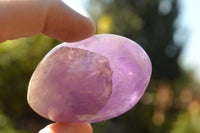 Polished Rare Gemmy Amethyst Palm Stones x 24 From Madagascar - TopRock