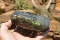 Polished Labradorite Standing Free Forms With Intense Blue & Gold Flash x 2 From Sakoany, Madagascar - TopRock