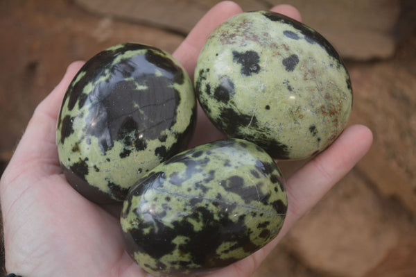 Polished Leopard Stone Palm Stones  x 6 From Zimbabwe