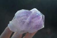 Natural Jacaranda Amethyst Clusters  x 6 From Mumbwa, Zambia - Toprock Gemstones and Minerals 