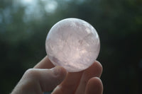 Polished Rare Star Rose Quartz Spheres  x 6 From Ambatondrazaka, Madagascar - Toprock Gemstones and Minerals 