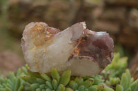 Natural Red Hematoid Quartz Specimens x 12 From Karoi, Zimbabwe - TopRock