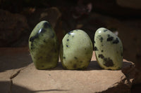 Polished Leopard Stone Free Forms  x 12 From Zimbabwe