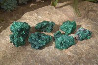 Natural Chatoyant Silky Malachite Specimens  x 6 From Kasompe, Congo