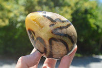 Polished Septaria Dragon's Eggs (Calcite & Aragonite) x 3 From Mahajanga, Madagascar - TopRock