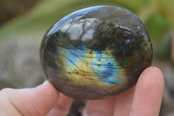 Polished Flashy Labradorite Palm Stones  x 12 From Tulear, Madagascar