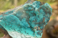 Natural Mixed Chrysocolla Dolomite Specimens (Some With Malachite) x 7 From Congo - TopRock