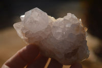 Natural Spirit Cactus Flower Quartz Clusters x 6 From Boekenhouthoek, South Africa