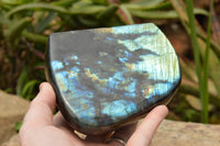 Polished Labradorite Standing Free Form With A Full Face Flash x 1 From Tulear, Madagascar - TopRock