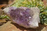 Natural Amethyst & Crystal Centred Geodes  x 12 From Zululand, South Africa - TopRock