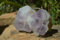 Natural Jacaranda Amethyst Clusters x 2 From Mumbwa, Zambia - TopRock