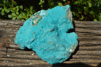 Natural Bright Blue Botryoidal Chrysocolla Specimens x 2 From Lupoto, Congo - TopRock