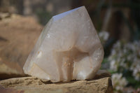 Polished Quartz Crystal Points x 6 From Angola