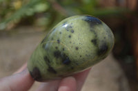 Polished Leopard Stone Free Forms  x 12 From Zimbabwe