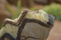 Polished Septaria (Calcite & Aragonite) Slices  x 6 From Mahajanga, Madagascar - TopRock