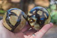 Polished Gorgeous Septerye Spheres x 4 From Madagascar