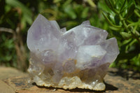 Natural Jacaranda Amethyst Clusters x 2 From Mumbwa, Zambia - TopRock