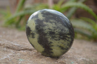 Polished Leopard Stone Palm Stones  x 6 From Zimbabwe