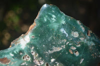 Polished Emerald Mtorolite / Chrome Chrysoprase Plates  x 3 From Zimbabwe - Toprock Gemstones and Minerals 