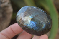 Polished Flashy Labradorite Palm Stones  x 12 From Tulear, Madagascar