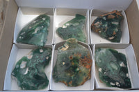 Polished One Side Polished Emerald Mtorolite Plates  x 6 From Mutorashanga, Zimbabwe - Toprock Gemstones and Minerals 