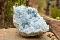 Natural Blue Celestite Geode Specimen  x 1 From Sakoany, Madagascar - TopRock