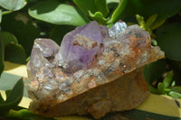 Natural Jacaranda Amethyst Clusters  x 2 From Mumbwa, Zambia - TopRock