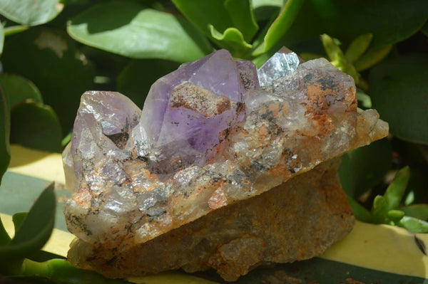 Natural Jacaranda Amethyst Clusters  x 2 From Mumbwa, Zambia - TopRock