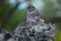 Natural Conglomerate Amethyst Clusters (Man Made) x 6 From Chiredzi, Zimbabwe - TopRock