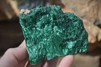 Natural Chatoyant Silky Malachite Specimens  x 4 From Congo