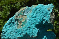 Natural Bright Blue Botryoidal Chrysocolla Specimens x 2 From Lupoto, Congo - TopRock