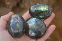 Polished Flashy Labradorite Palm Stones  x 12 From Tulear, Madagascar