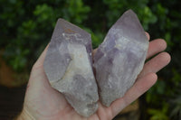 Natural Large Jacaranda Amethyst Crystals  x 6 From Zambia - Toprock Gemstones and Minerals 