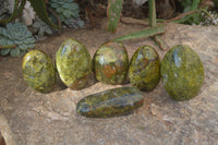 Polished Green Opal Standing Free Forms  x 6 From Madagascar