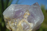 Natural Jacaranda Amethyst Clusters x 2 From Mumbwa, Zambia - TopRock