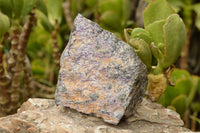 Natural Rough Stichtite / Atlantisite Specimens  x 3 From Tshipies, South Africa - TopRock