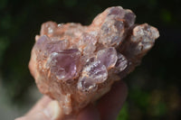 Natural Sugar Amethyst Clusters  x 6 From Zambia - Toprock Gemstones and Minerals 