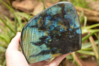 Polished Labradorite Standing Free Form With A Full Face Flash x 1 From Tulear, Madagascar - TopRock