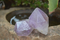 Natural Single Zambian Jacaranda Amethyst Points - Sold per 1.6 kg (24 points per tray) - From Mumbwa, Zambia - TopRock