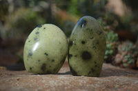 Polished Leopard Stone Free Forms  x 12 From Zimbabwe