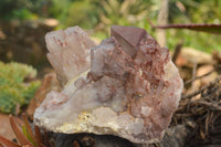 Natural Red Hematite Quartz Clusters  x 4 From Karoi, Zimbabwe - TopRock