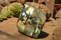 Polished Labradorite Standing Free Forms With Intense Blue & Gold Flash x 2 From Sakoany, Madagascar - TopRock