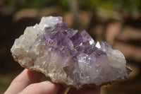 Natural Amethyst & Crystal Centred Geodes  x 12 From Zululand, South Africa - TopRock