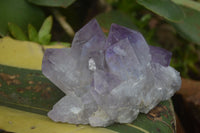 Natural Jacaranda Amethyst Clusters  x 3 From Mumbwa, Zambia - Toprock Gemstones and Minerals 