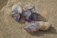 Natural Window Amethyst Sceptre Crystals  x 35 From Chiredzi, Zimbabwe