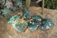 Polished One Side Polished Emerald Mtorolite Plates  x 6 From Mutorashanga, Zimbabwe - Toprock Gemstones and Minerals 