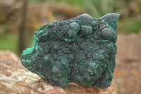 Natural Botryoidal Fibrous Malachite Specimens  x 6 From Kasompe, Congo - TopRock