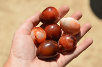 Polished Beautiful Selection Of Carnelian Agate Eggs  x 20 From Madagascar - TopRock